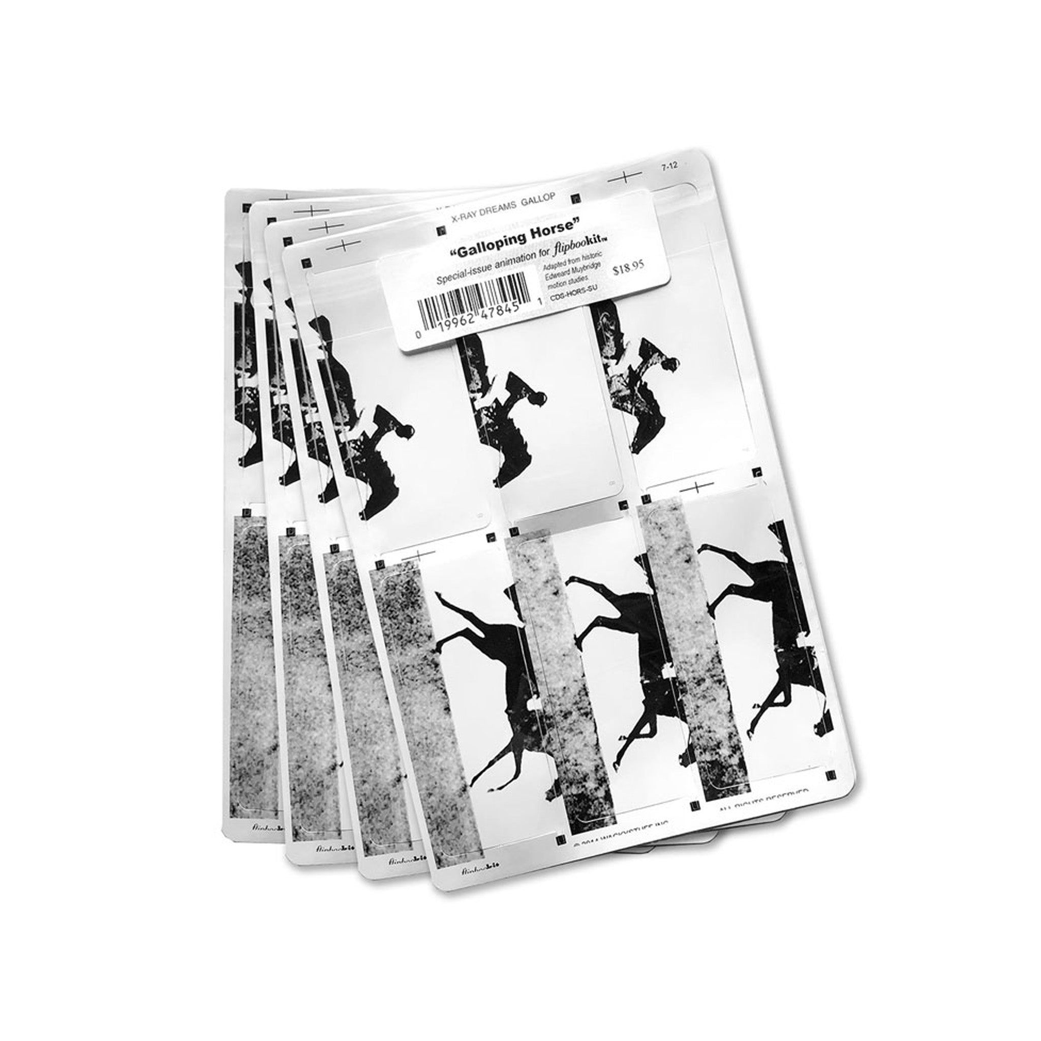 GALLOPING HORSE CARD SET