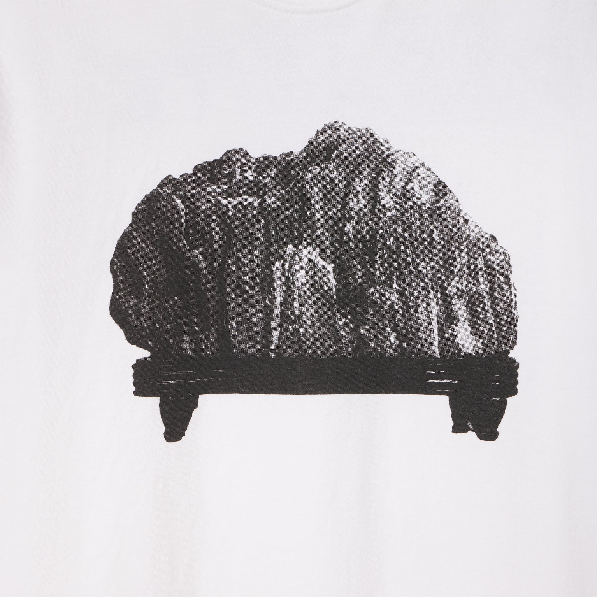 Decorative stone on a stand against a white background This is an image of the Scholars Rock featured in the Oscar winning movie PARASITE by NEON and Director Bong Joon Ho