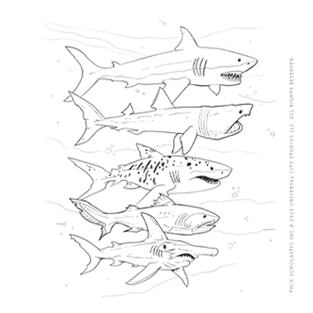Black and white blank page of a coloring book drawing of sharks on a white background