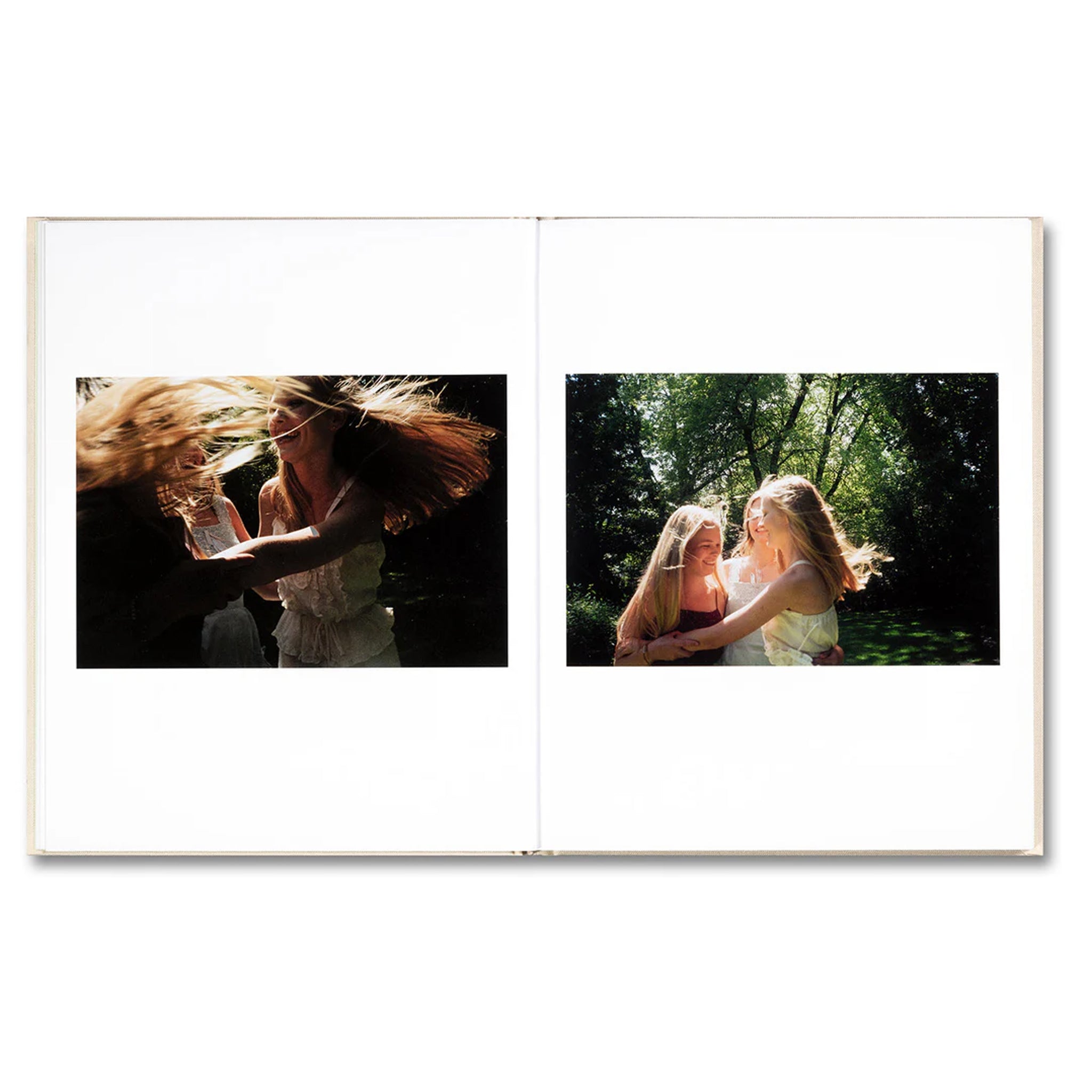 THE VIRGIN SUICIDES