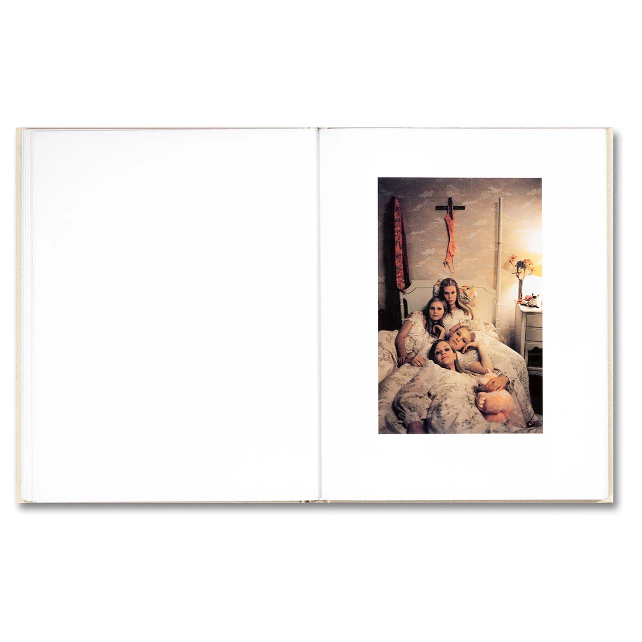 THE VIRGIN SUICIDES