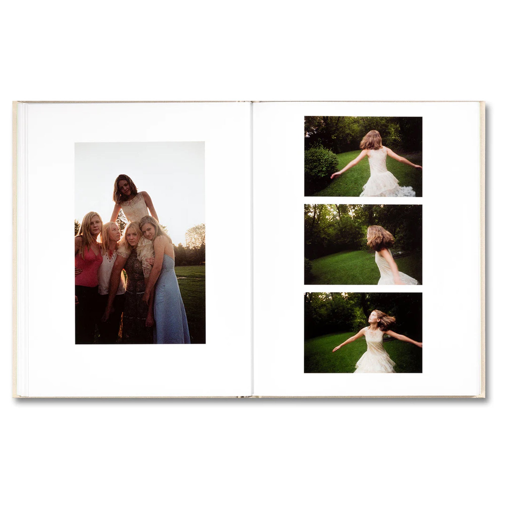 THE VIRGIN SUICIDES