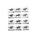 GALLOPING HORSE CARD SET