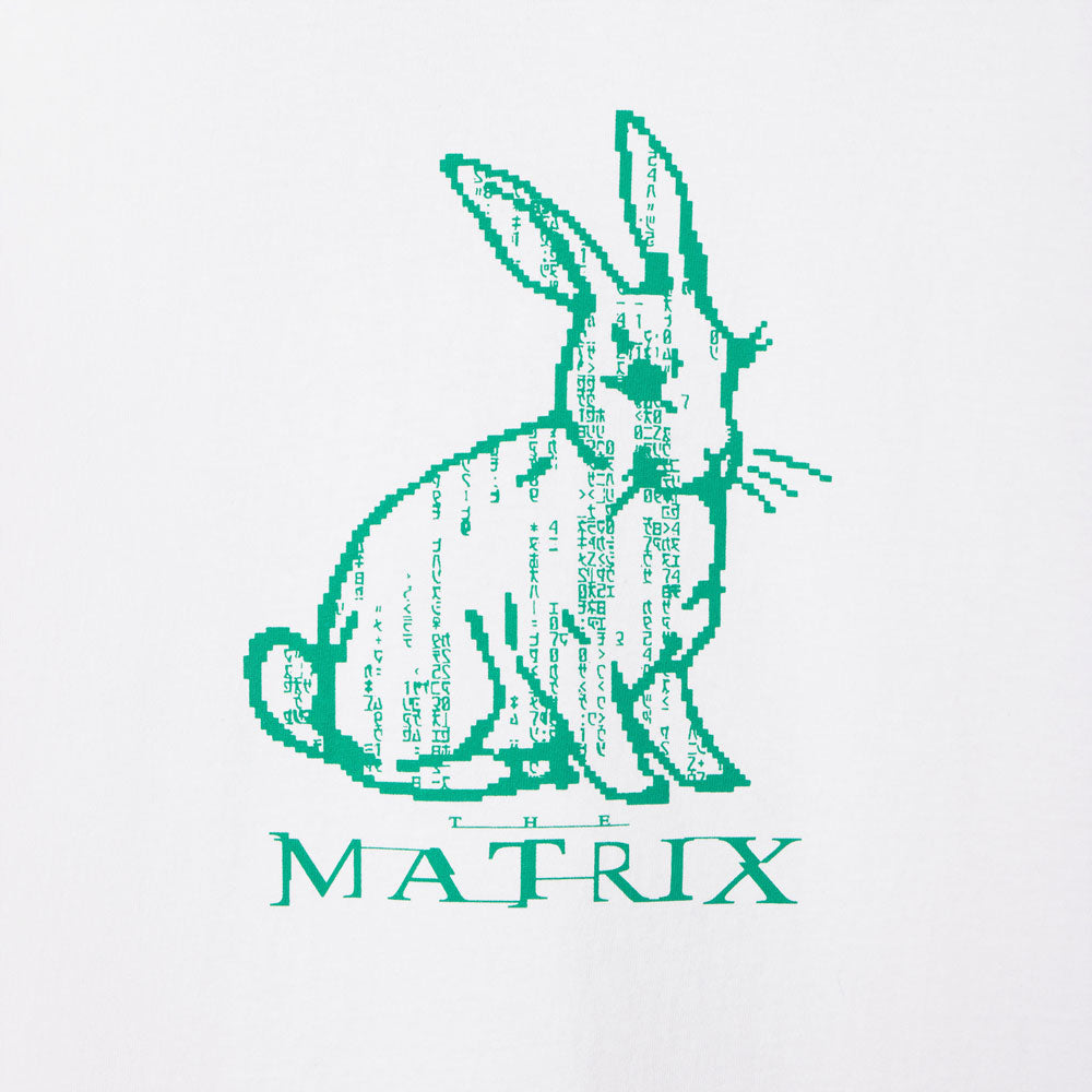 Green rabbit silhouette with 'The Matrix' text on a light gray background