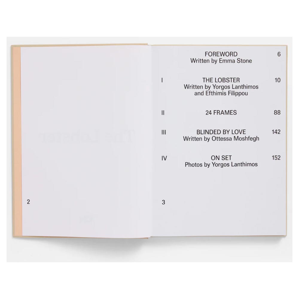 Table of contents page of a book with text on a white background
