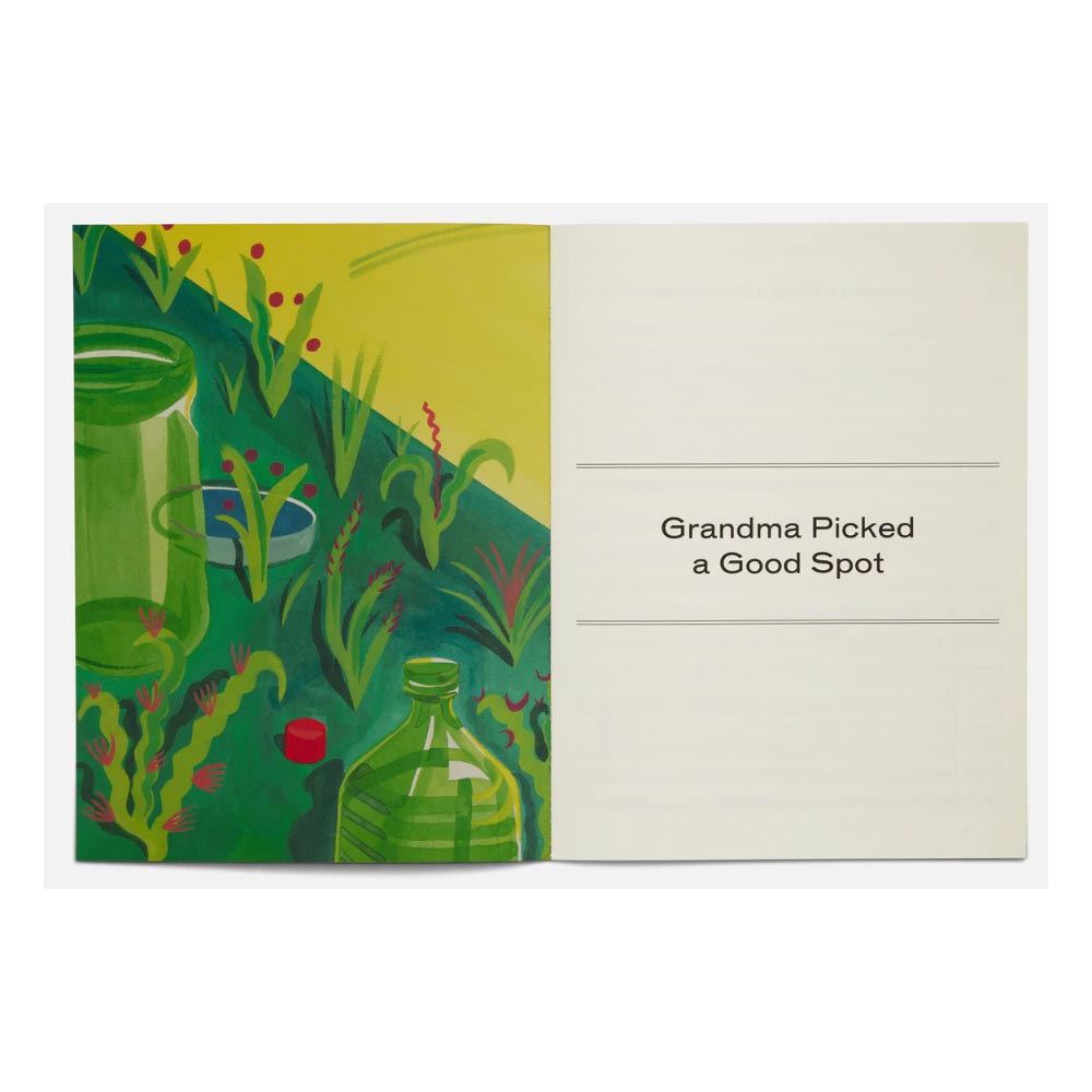 Open book with a green and yellow illustration and text 'Grandma Picked a Good Spot'.
