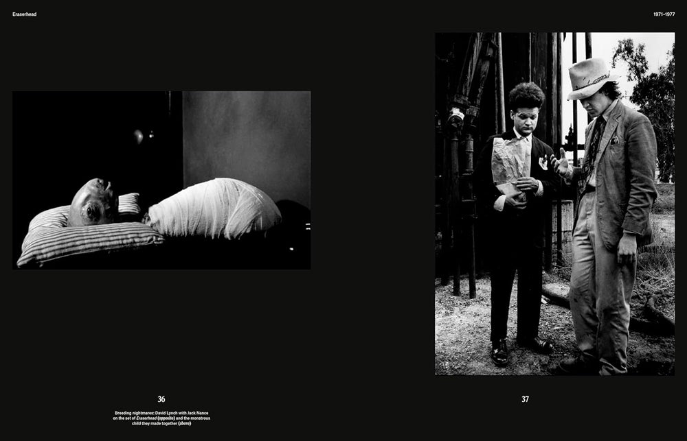 DAVID LYNCH: HIS WORK, HIS WORLD