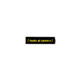 Text box with 'looks at camera' on a white background