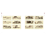 Collection of vintage-style illustrations on a white background sketches of the movie production of Jaws.