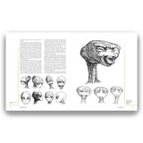 Illustrations of ET and various head shapes on a white background