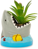 Shark-shaped planter with a plant inside on a white background