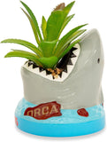 Shark-shaped planter with a plant inside on a white background