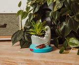 Shark-shaped planter with a plant on a wooden surface, surrounded by greenery. Transform your decor with the Jaws Shark Ceramic Mini Planter! This adorable piece showcases a succulent, combining movie magic with effortless style.