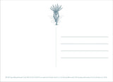 STUDIO GHIBLI PRINCESS MONONOKE: 30 POSTCARDS