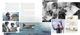 JAWS: MEMORIES FROM MARTHA'S VINEYARD