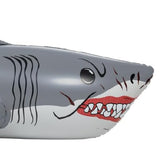 closeup of the face of the shark showing the eyes and teeth.