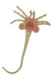 Alien - Facehugger Life-Size Foam Replica