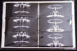 METROPOLIS CARD SET