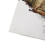 OKJA PRINT