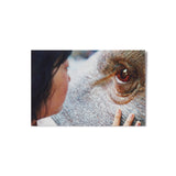 OKJA STILL POSTCARD
