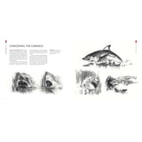 Illustrations of a great white shark with text on a white background for the movie Jaws.