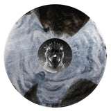 Vinyl record with a dragon design on a white background